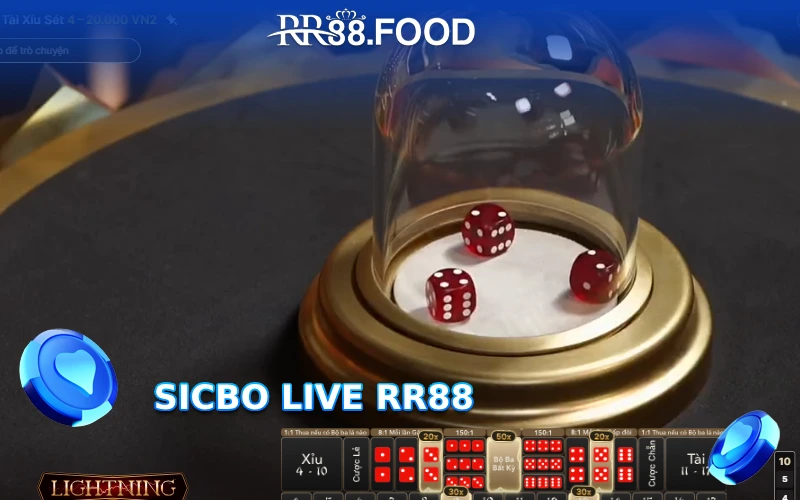 Sicbo hay Tài xỉu live thu hút người chơi đông đảo tại RR88